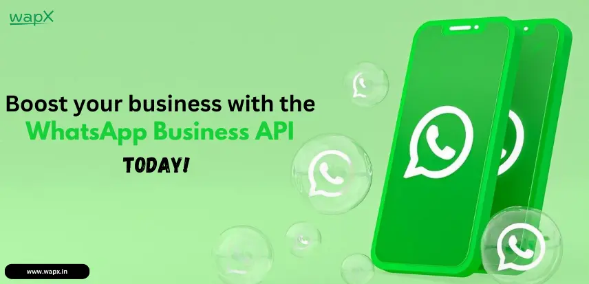 whatsapp business api